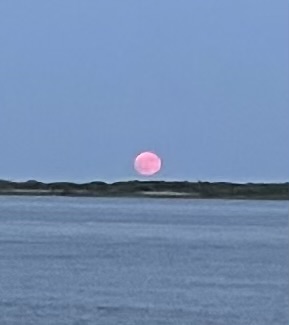 IMG 4511