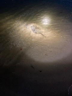 Unnamed (4)